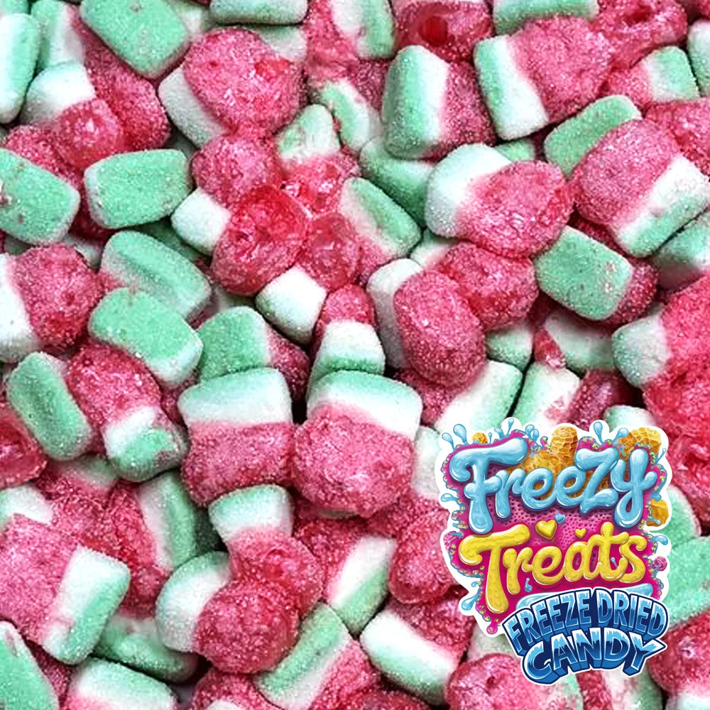 Freezy Treats Watermelon Slices Close Up